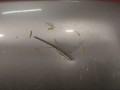 капот Nissan Qashqai 1 поколение J10 2008, 1.5 л., K9K, дизель, F5100JD0M0 - фото №4