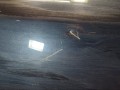 дверь передняя правая Toyota Avensis 3 поколение (T270) 2011, 2.0 л., 1AD-FTV, дизель, 6700105070 - фото №3