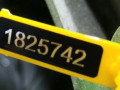 КПП механическая (МКПП) Ford Focus 2 поколение 2008, дизель, 9M5R7002YB - фото №8