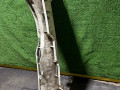 усилитель бампера заднего Renault Clio 3 поколение 2007, 8200290084 - фото №3