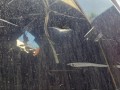 капот BMW 5 серия E60/E61 2007, 41617111385 - фото №12
