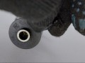 форсунка Ford Focus 2 поколение 2008, 1.6 л., HHDA, дизель, 445110239 - фото №5