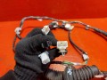 проводка (коса) двери Toyota Avensis 3 поколение (T270) 2011, 2.0 л., 1AD-FTV, дизель, 8215105660 - фото №2