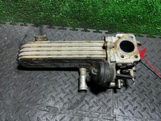охладитель EGR / Радиатор EGR Volkswagen Passat B6 2008, 36131513