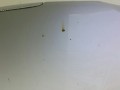 капот BMW 1 серия E81/E82/E87/E88 [рестайлинг] E81 2007, 6985512 - фото №4