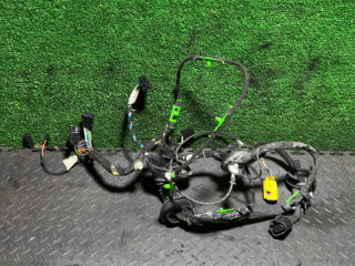 дверная проводка Audi A6 4F/C6 2006, 2.0 л., 4F1971030A