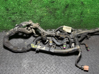 проводка двигателя Opel Insignia 1 поколение (A) 2010, 2.0 л., 55562748