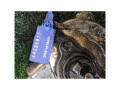 насос вакуумный Mercedes-Benz C-Класс W203/S203/CL203 2002, A27123009 - фото №3