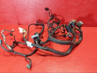проводка двигателя Nissan Qashqai 1 поколение J10 2008, 1.5 л., K9K, дизель, 24011JD03E
