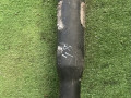 карданный вал Mercedes-Benz E-Класс W211/S211 2004, 3.2 л., 2115606 - фото №3