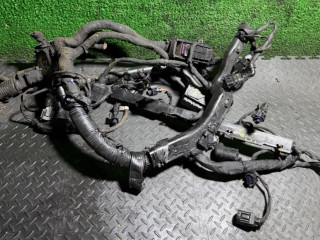 проводка двигателя Hyundai Santa Fe 2 поколение (CM) 2008, 2.2 л.
