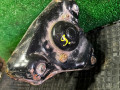 стойка передняя левая Volkswagen Passat B5 1999, 1.9 л., 3B0413031 - фото №2
