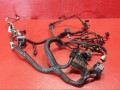 проводка двигателя Nissan Qashqai 1 поколение J10 2008, 1.5 л., K9K, дизель, 24011JD03E - фото №8