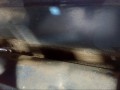 дверь передняя правая Opel Astra H 2004, 1.4 л., Z 14 XEP, бензин, 93192037 - фото №7
