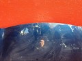 капот Toyota Yaris XP9 2006, 5330152230 - фото №2