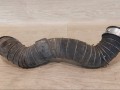патрубок интеркулера Mercedes-Benz C-Класс W203/S203/CL203 W203 2002, 271.946 - фото №2