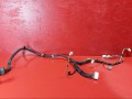 проводка (коса) двери Lexus 2006, 3.0 л., 3GR-FSE, бензин, 8215430500 - фото №2