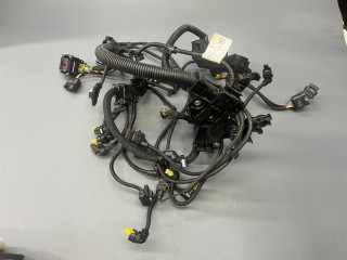 проводка двигателя Mini Cooper S 3 поколение [2-й рестайлинг] F56 2023, 2.0 л., бензин, робот, c3b, хетчбэк 3 дв., 12518742678, 8742678, 12518678955, 8678955