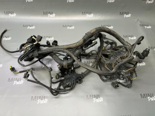 проводка двигателя Mini Clubman 2 поколение (F54) F54 2017, 1.5 л., бензин, МКПП, c2b, полный привод, 12518617722, 8617722, 12518644493, 8644493, 12518624199, 8624199
