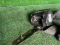 ремень безопасности Hyundai Sonata 4 поколение [рестайлинг] (2001 - 2013), 2.0 л., G4JP, бензин, МКПП, седан - фото №5