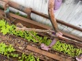 балка подвески передняя (подрамник) Lada 1111 Ока 1 поколение (1987 - 2008) - фото №11
