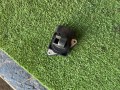 расходомер воздуха Land Rover Range Rover 1 поколение (1970 - 1994), 1974006021 - фото №3
