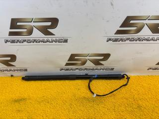 амортизатор крышки багажника (3-5 двери) Porsche Panamera 970 [рестайлинг] 970 2014, 4.8 л., MCX.PA, бензин, робот, c9a (белый), хетчбэк 5 дв., полный привод, 970512573, 97051257316