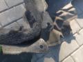 защита арок задняя правая (подкрылок) Alfa Romeo Stelvio 1 поколение 949 2019, 2.2 л., дизель, АКПП, внедорожник 5 дв., полный привод, правый руль - фото №2