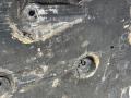 защита днища Alfa Romeo Stelvio 1 поколение 949 2018, 2.2 л., АКПП, внедорожник 5 дв., 50549795 - фото №6