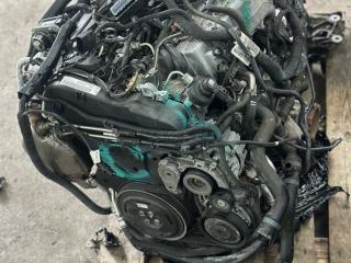 двигатель Audi A5 F5 [рестайлинг] F5 2023, 2.0 л., дизель, АКПП, хетчбэк 5 дв., DTN