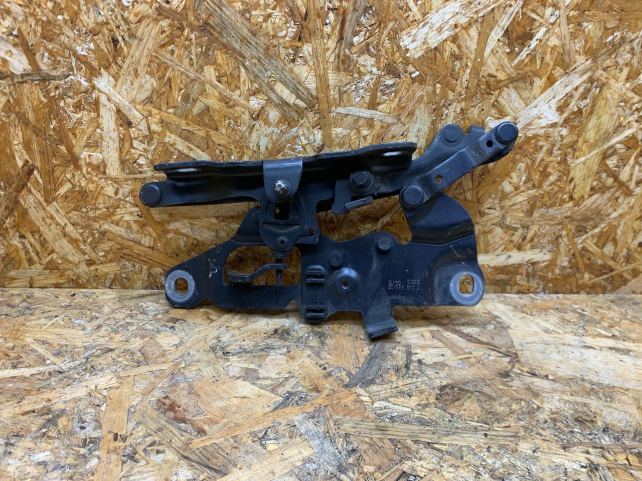 петля капота правая BMW 5 серия F07/F10/F11 F11 2012, 2.5 л., дизель, АКПП, универсал, полный привод, 51237263056, 7263056, 7249888, 41007270884, 7270884 - фото №1