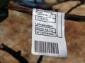дверная проводка BMW X6 E71 [рестайлинг] 2012, 3.0 л., дизель, АКПП, белый, внедорожник 5 дв., полный привод, правый руль, 9229847, 9203114 - фото №6