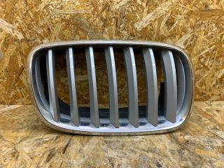 решетка радиатора BMW X5 E70 2007, 3.0 л., дизель, АКПП, серебристый, внедорожник 5 дв., правый руль, 7171396, 7157688, 51137157688, 5113O7171396