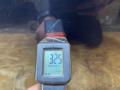 дверь передняя правая BMW X5 F15 2014, 2.0 л., дизель, АКПП, внедорожник 5 дв., полный привод, правый руль - фото №12