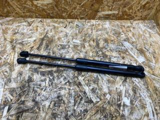 амортизатор капота BMW X5 E70 2007, 3.0 л., дизель, АКПП, серебристый, внедорожник 5 дв., правый руль, 7148346, 51237148346