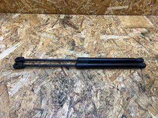 амортизатор капота BMW X5 E70 2007, 4.8 л., бензин, АКПП, серебро, внедорожник 5 дв., полный привод, правый руль, 7148346, 51237148346