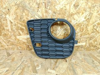 заглушка (решетка) в бампер BMW X5 E70 [рестайлинг] E70 2010, 4.0 л., дизель, АКПП, синий, внедорожник 5 дв., полный привод, правый руль, 51118048021, 8048021