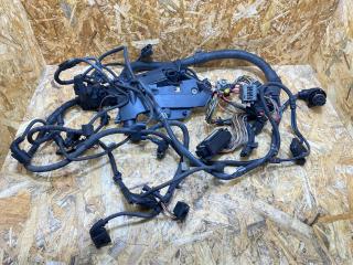 проводка двигателя BMW X5 E70 2007, 3.0 л., M57 306 D3, дизель, АКПП, черный, внедорожник 5 дв., полный привод, правый руль, 7806081
