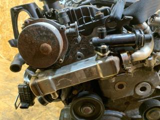 охладитель EGR / Радиатор EGR BMW X5 E70 2007, 3.0 л., дизель, АКПП, серебристый, внедорожник 5 дв., правый руль, 7794245, 11717794245