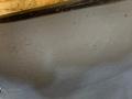 накладка на порог BMW X5 F15 2014, 2.0 л., дизель, АКПП, внедорожник 5 дв., полный привод, правый руль, 8054033 - фото №10