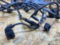 проводка двигателя BMW X5 E70 2007, 3.0 л., M57 306 D3, дизель, АКПП, черный, внедорожник 5 дв., полный привод, правый руль, 7806081 - фото №2
