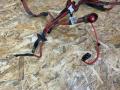 плюсовой провод аккумулятора BMW 3 серия F30/F31/F34 F31 2013, 2.0 л., дизель, АКПП, 475 black-sapphire metallic, универсал, полный привод, правый руль, 9259326, 61129259326, 61129308292, 9308292, 9348763, 61129348763, 61129316576, 9316576 - фото №2