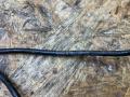 датчик ABS BMW 5 серия F07/F10/F11 F11 2011, 3.0 л., дизель, АКПП, черный, универсал, задний привод, 34526853859, 6853859, 6782099, 34526782099, 34526775863, 6775863 - фото №4