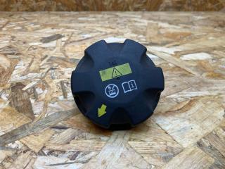 пробка расширительного бачка BMW 5 серия G30/G31 G30 2017, 3.0 л., дизель, АКПП, синий, седан, полный привод, правый руль, 7689020