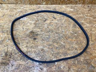 уплотнитель двери BMW 3 серия F30/F31 [рестайлинг] F31 2017, 3.0 л., дизель, АКПП, универсал, правый руль, 51337258329, 7258329, 7258312