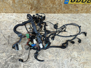 проводка двигателя BMW 3 серия F30/F31/F34 F30 2013, 3.0 л., дизель, АКПП, черный, седан, задний привод, правый руль, 851027504, 8510275, 12518510275