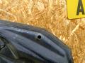 капот BMW 3 серия F30/F31/F34 [рестайлинг] F30 2015, 3.5 л., дизель, МКПП, черный, седан, полный привод, правый руль, 41007290944, 7290944 - фото №25