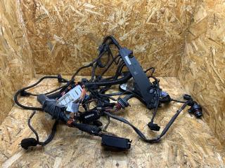 проводка двигателя BMW X5 E70 2008, 3.0 л., дизель, АКПП, внедорожник 5 дв., полный привод, правый руль