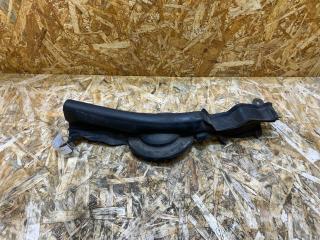 уплотнитель подкапотного пространства BMW 3 серия F30/F31/F34 [рестайлинг] F30 2015, 3.5 л., дизель, МКПП, черный, седан, полный привод, правый руль, 7255803, 51767255803