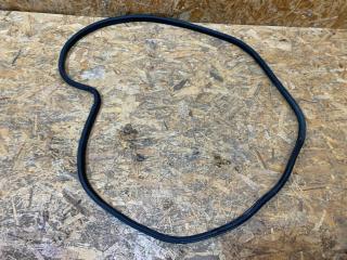 уплотнитель двери BMW 1 серия F20/F21 [2-й рестайлинг] E82 2018, 1.5 л., бензин, МКПП, хетчбэк 5 дв., задний привод, правый руль, 7240849, 51337240849, 7320394, 51337320394